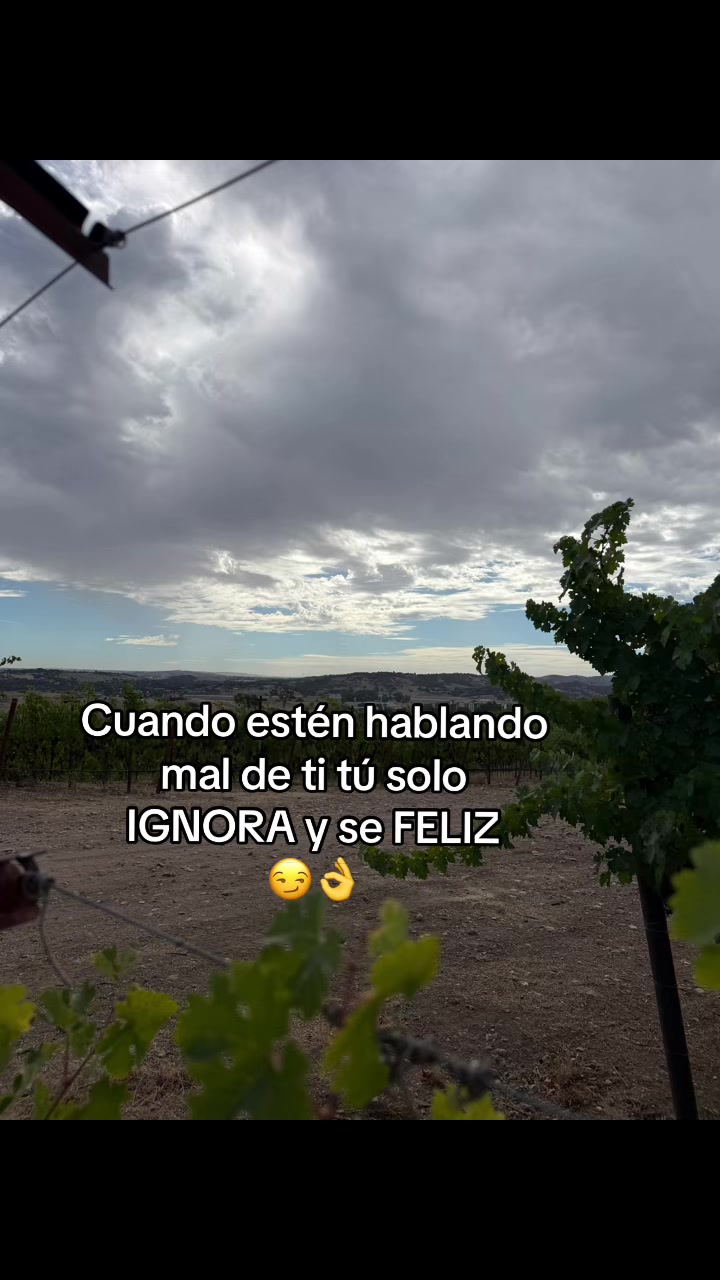 @Sandra Santiago