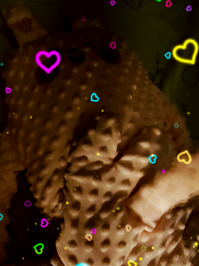 @🎠🎀🎡蕊宝宝丫🎀🧸🎠