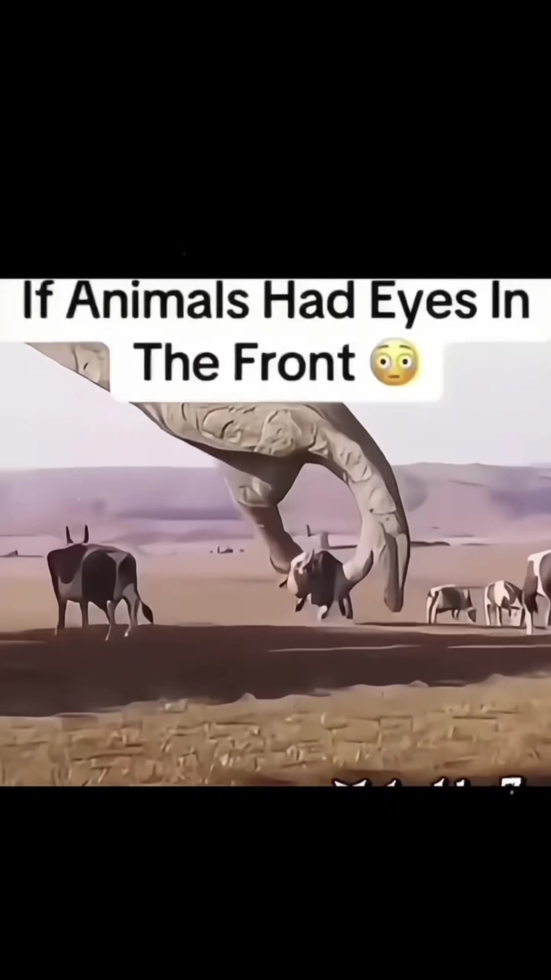 @J🌀