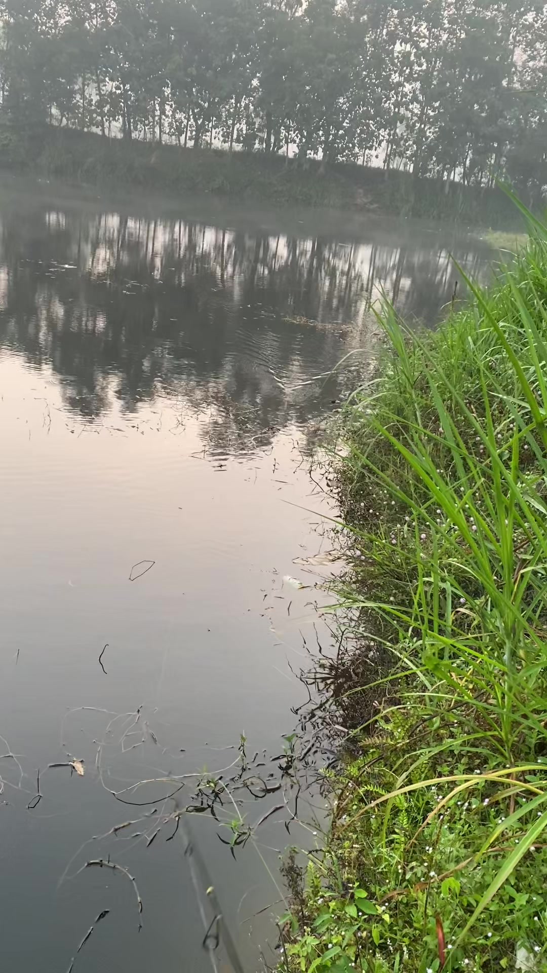@stecu Fishing