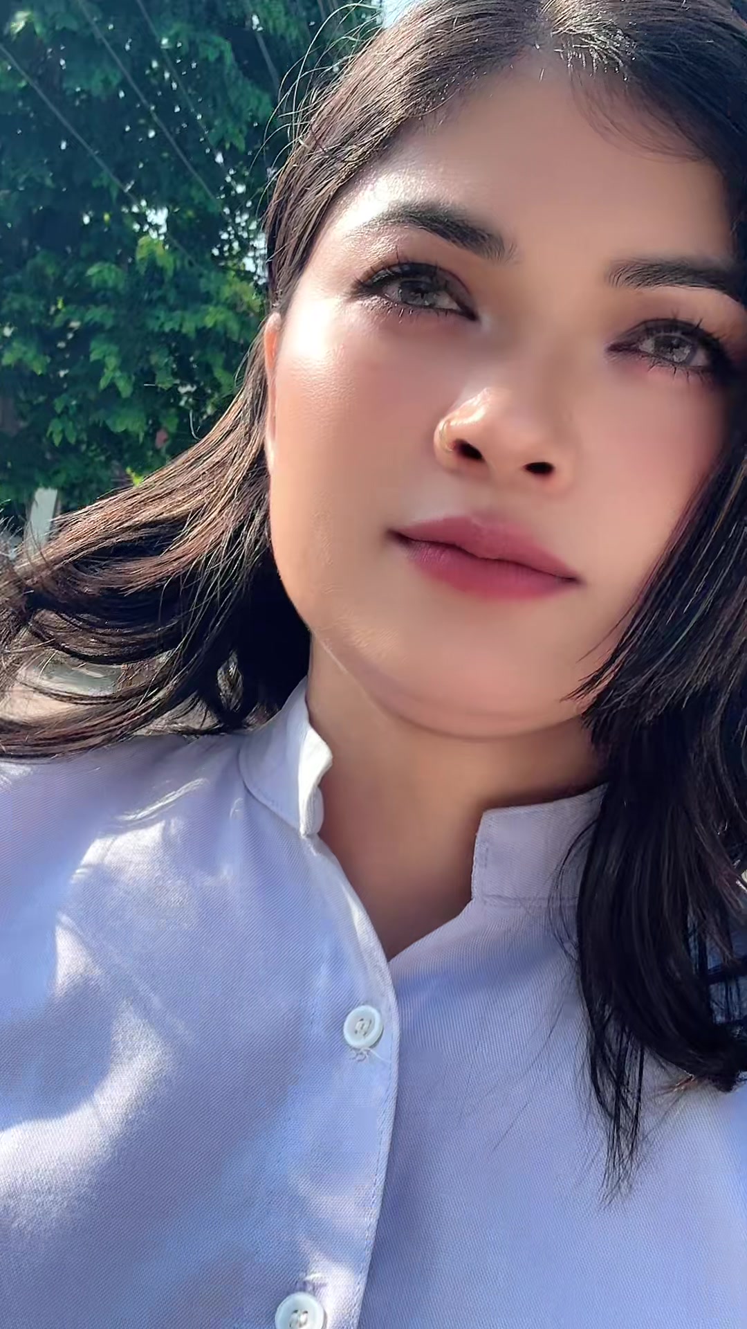 @maya