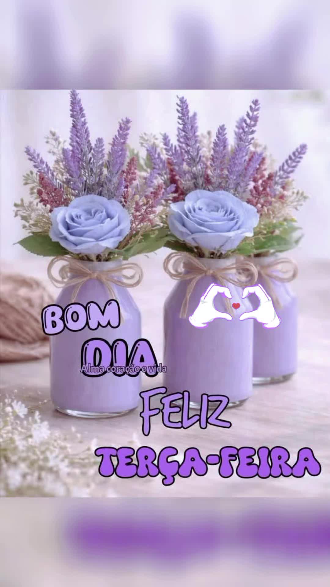 @Valdirene Soares 37