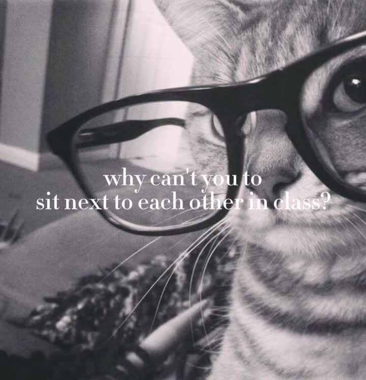@𝓐ᥫ᭡lexi