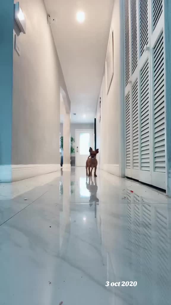 @Cirita