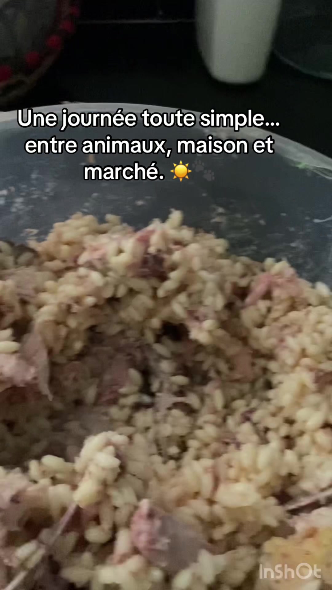 @Isabelle 🇫🇷 ma hijra en 🇩🇿