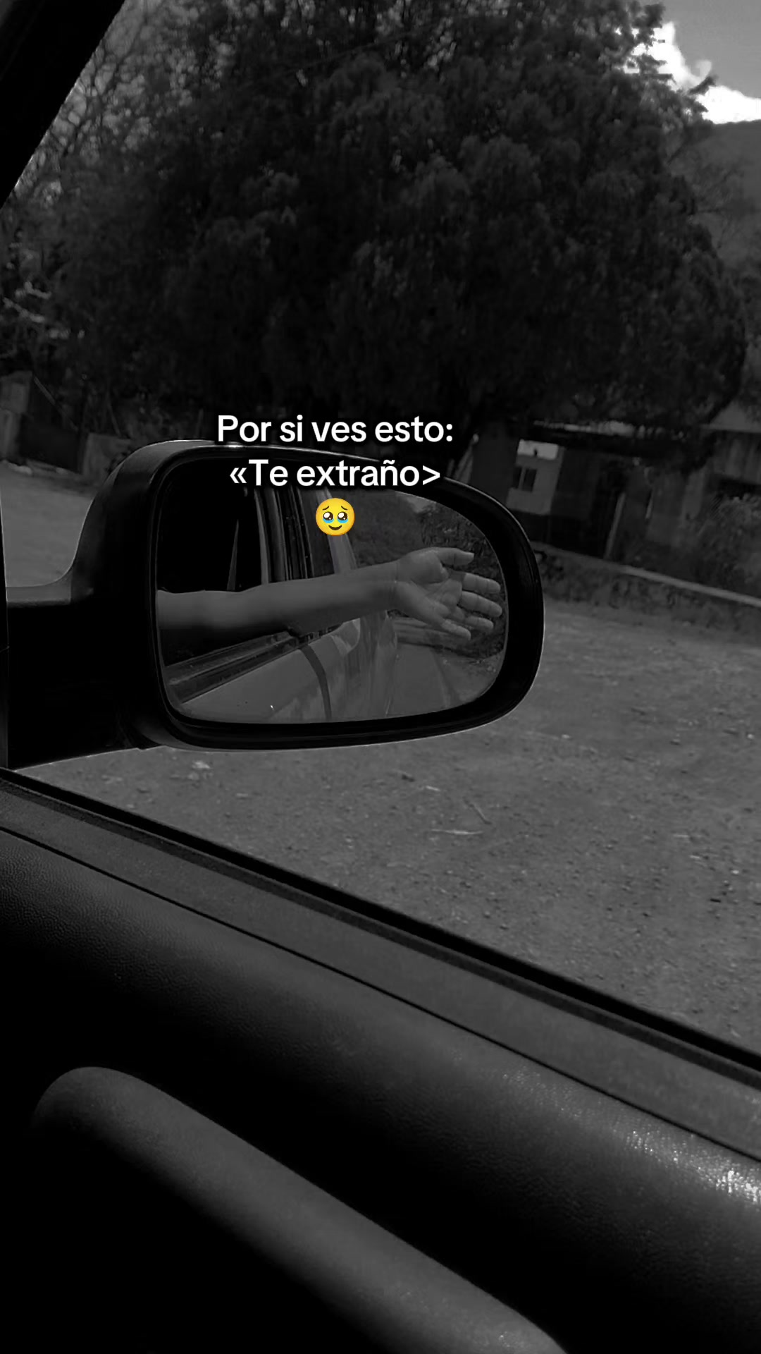 @vecky
