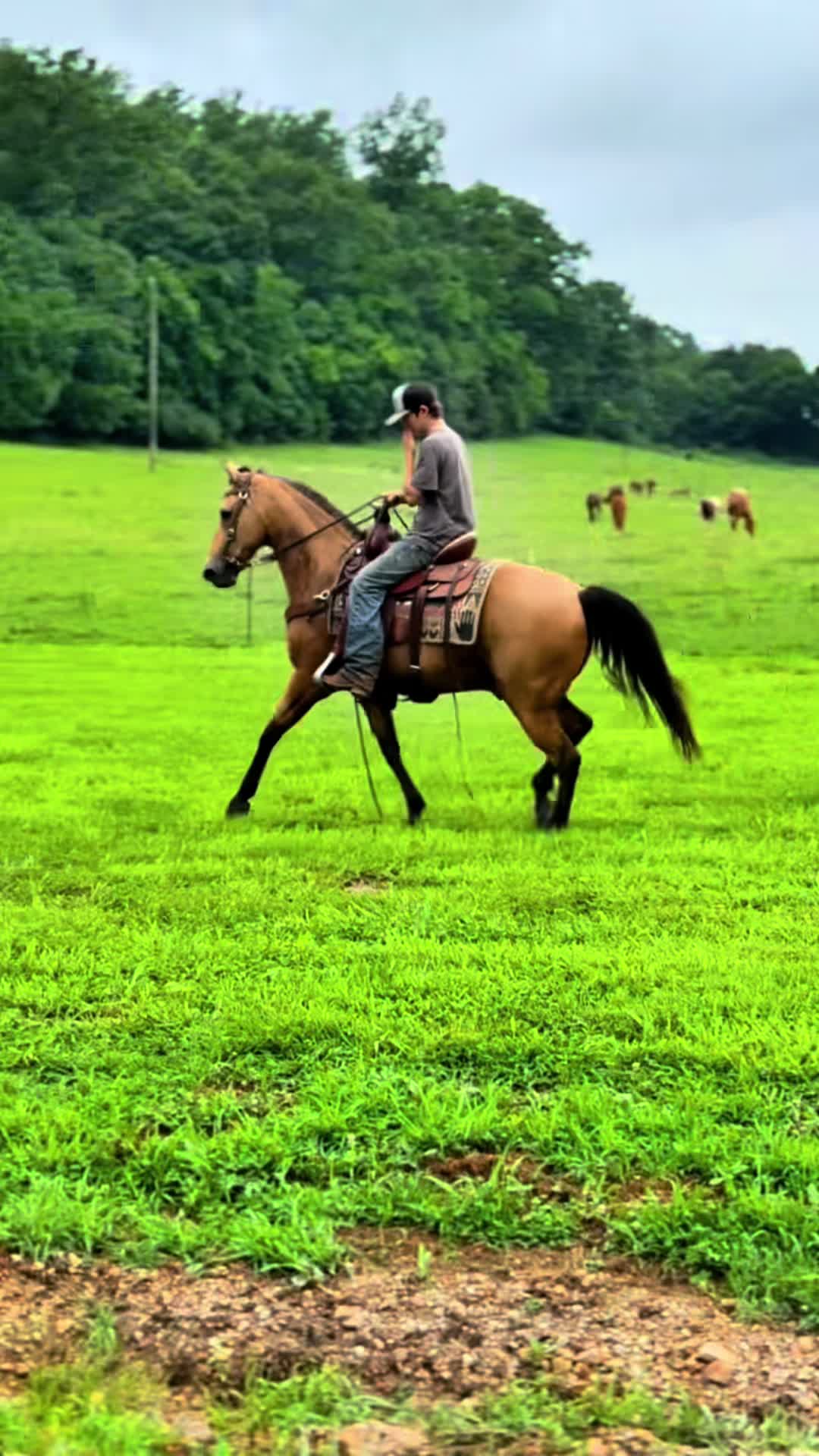 @Lucky D Ranch 🍀