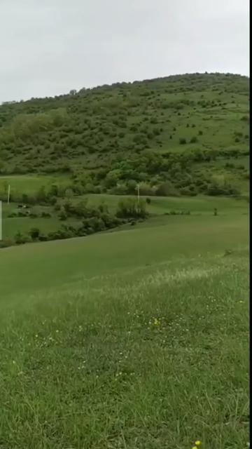 @zalimin_kizi♥️