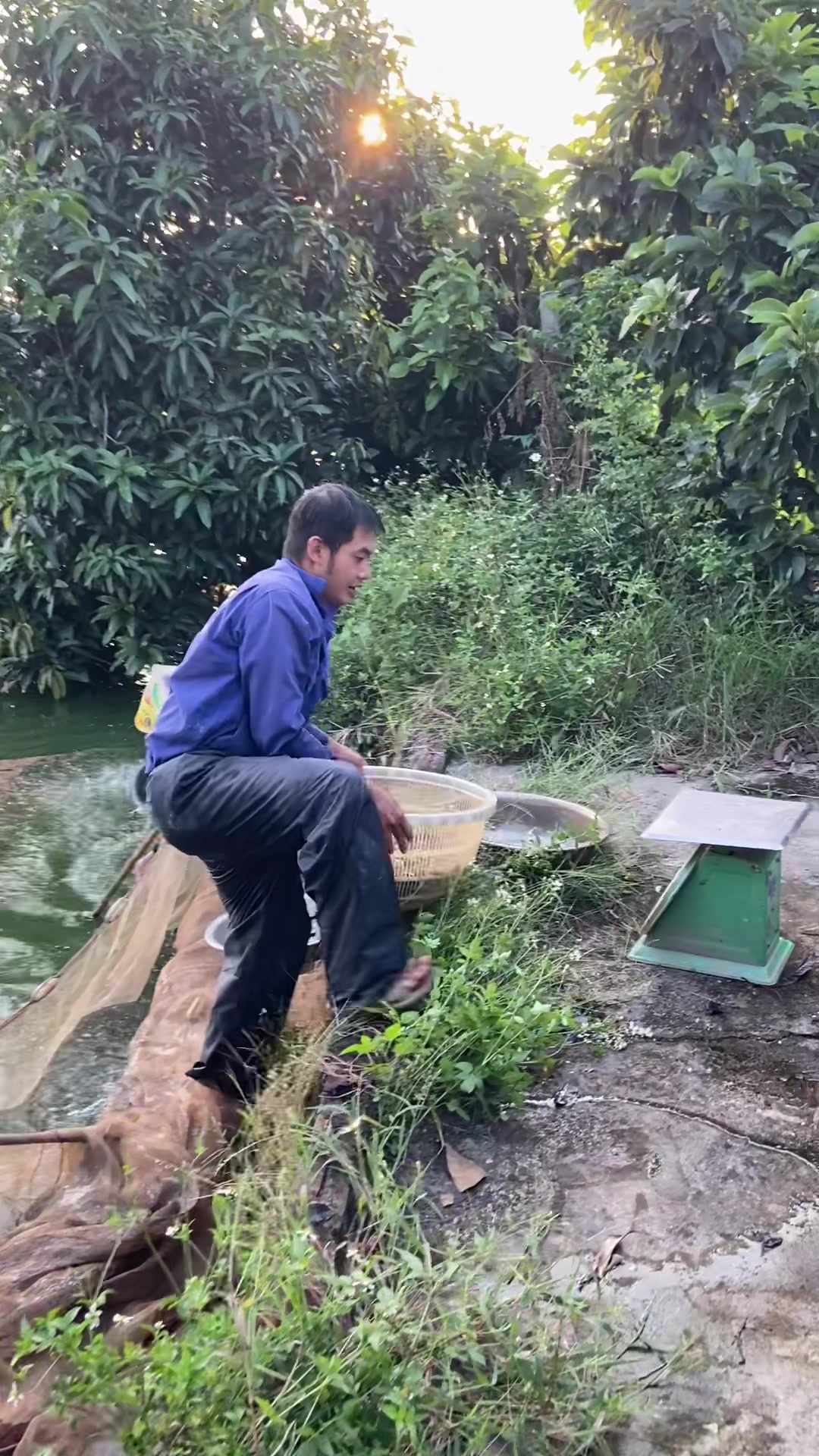 @Trại Cá Giống Quang Lâm