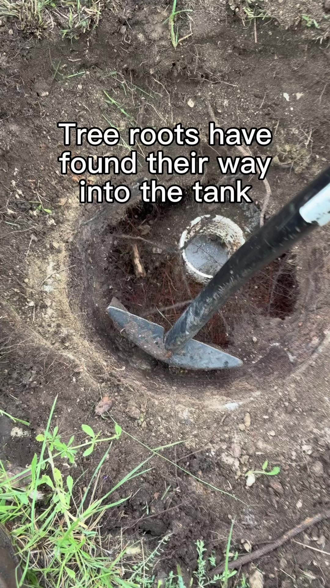 @poorpumpersociety