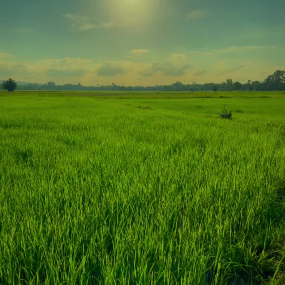 @คนเลาะน้ำ 1