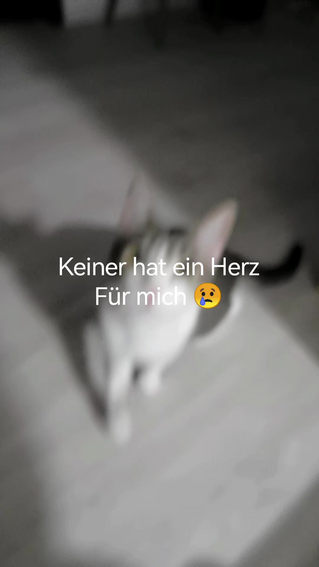 @juli🇩🇪🇺🇸🇷🇺