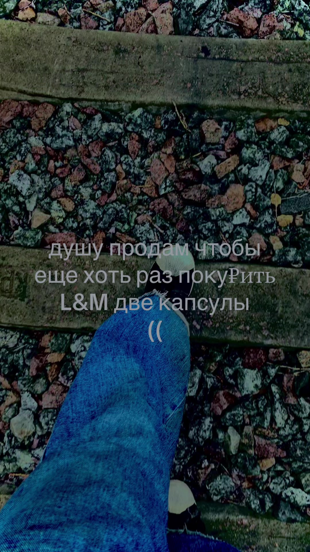 @morfiik