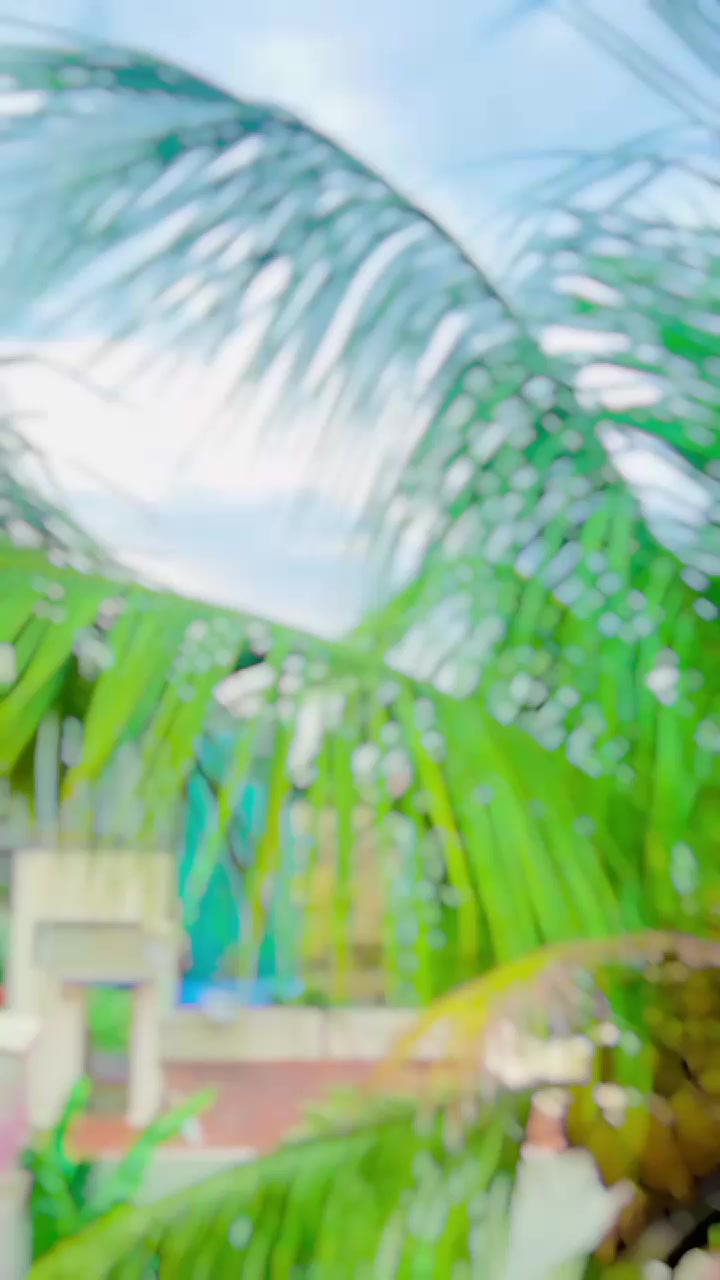 @Ãmmü✨👀 ✖‿✖•