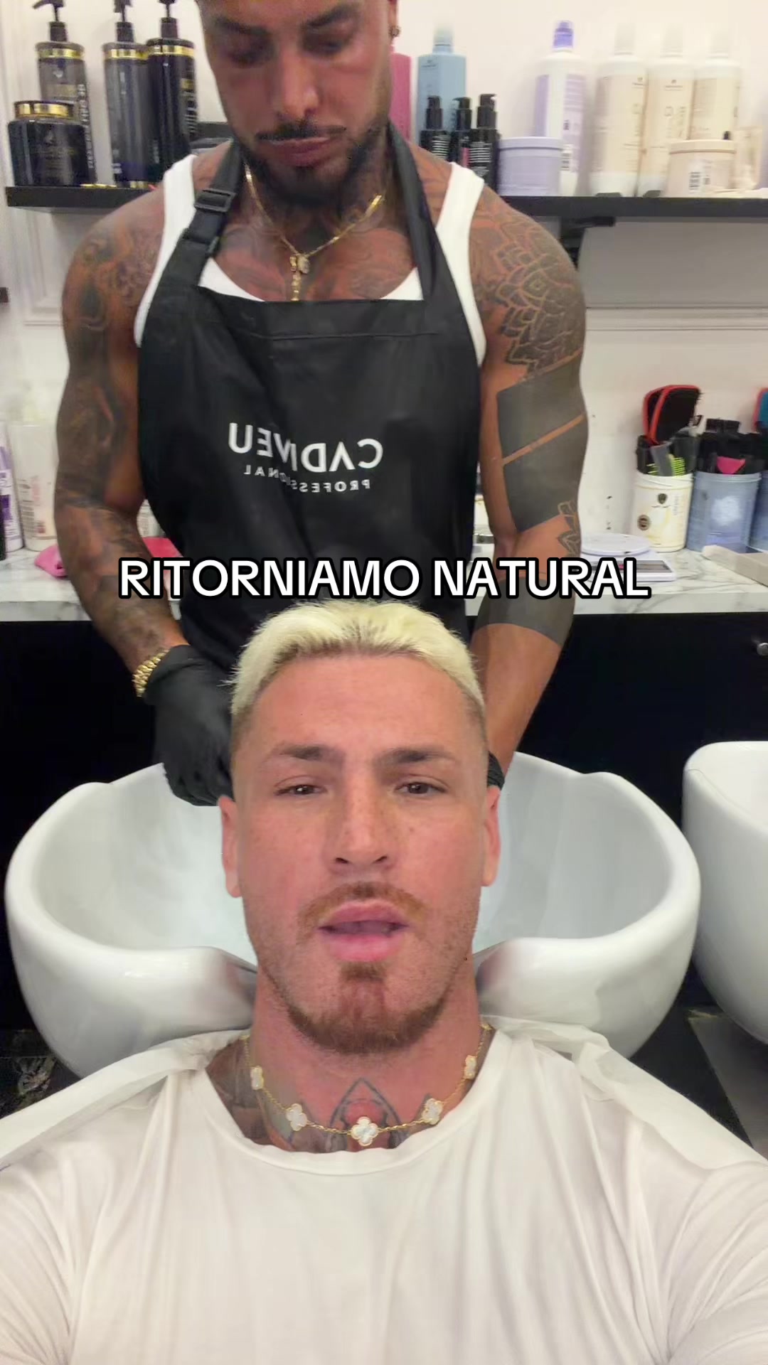 @alfredofoffy