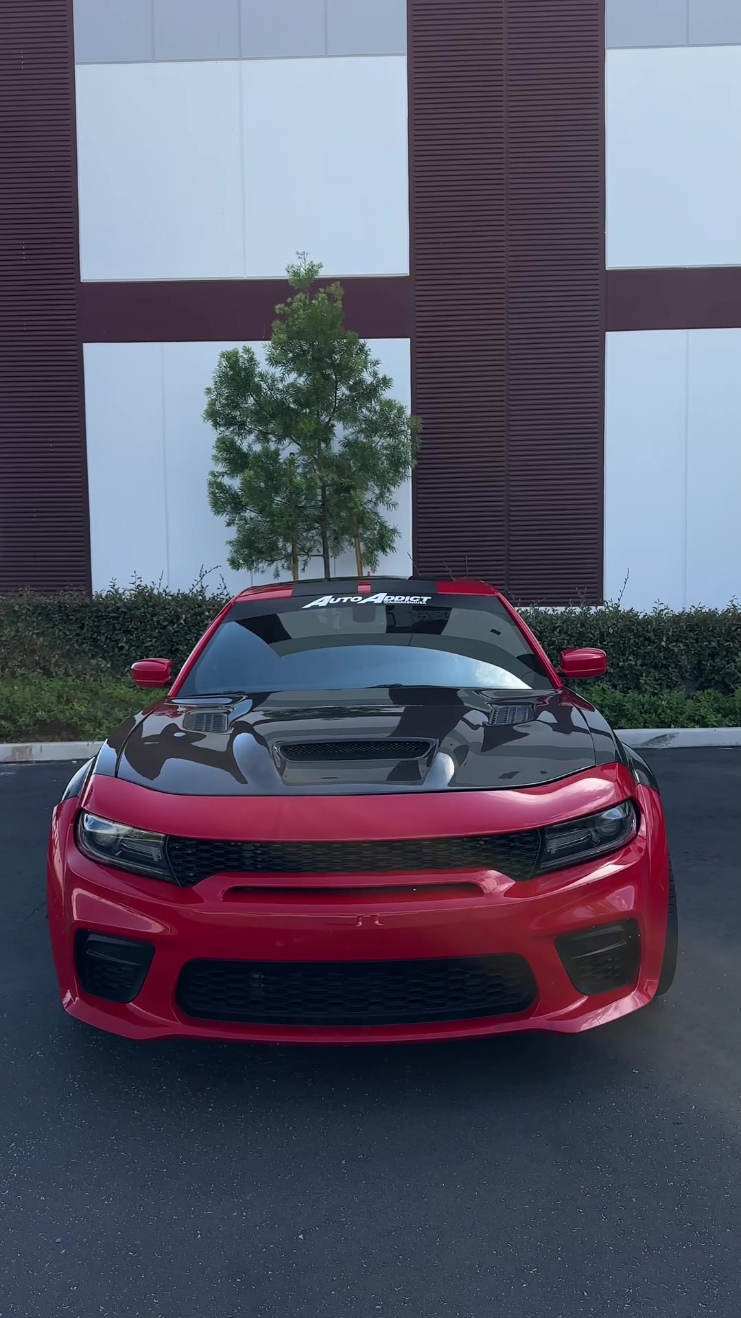 @SHHHZL1