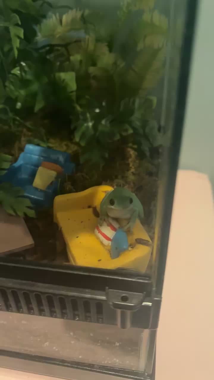 @daily FROG posts 🐸