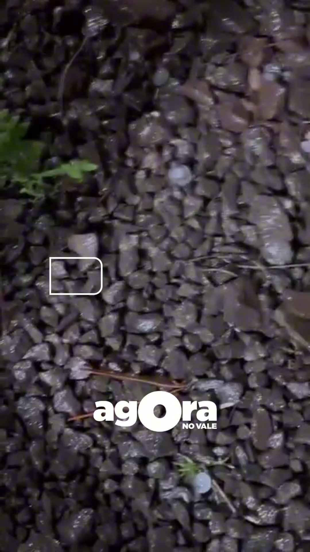 @Agora no Vale