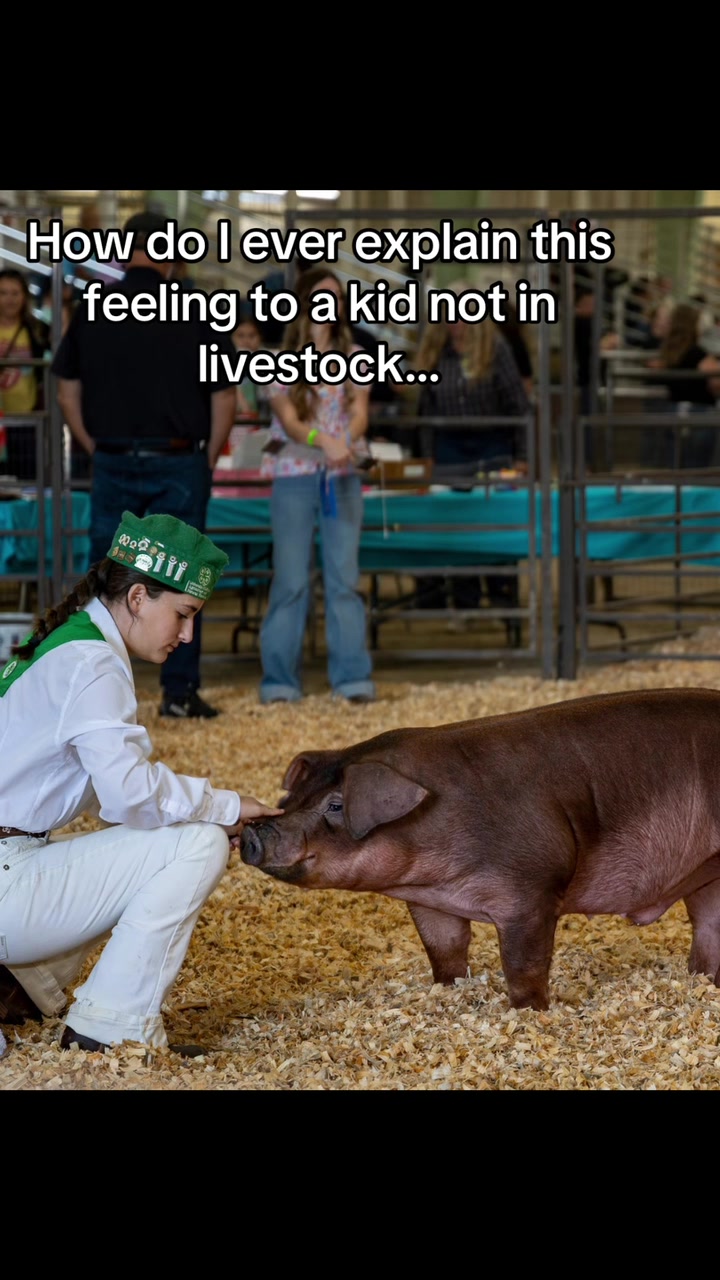 @Big Fresno Fair