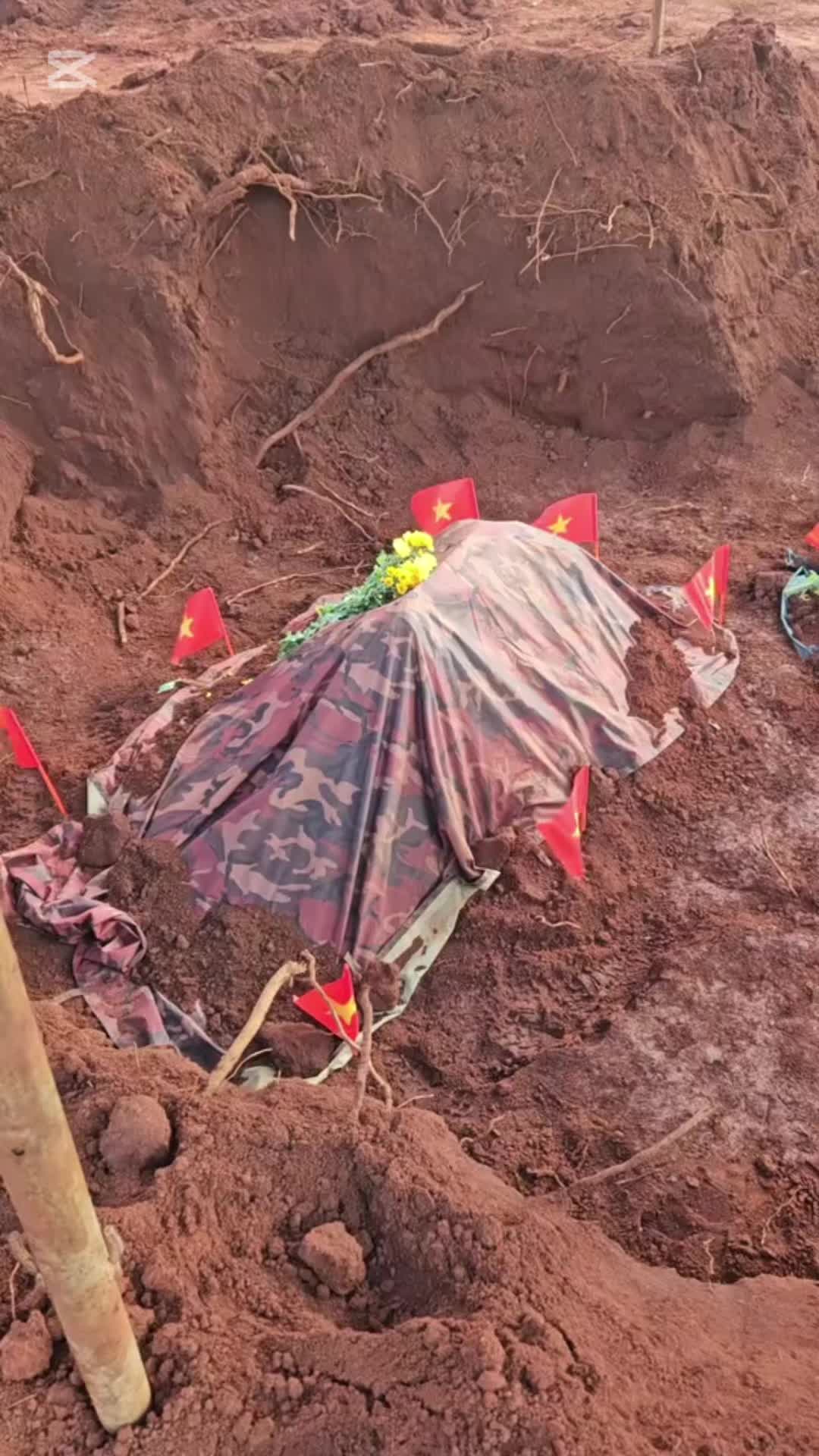 @Việt Nam Đất Nước Tôi ❤️