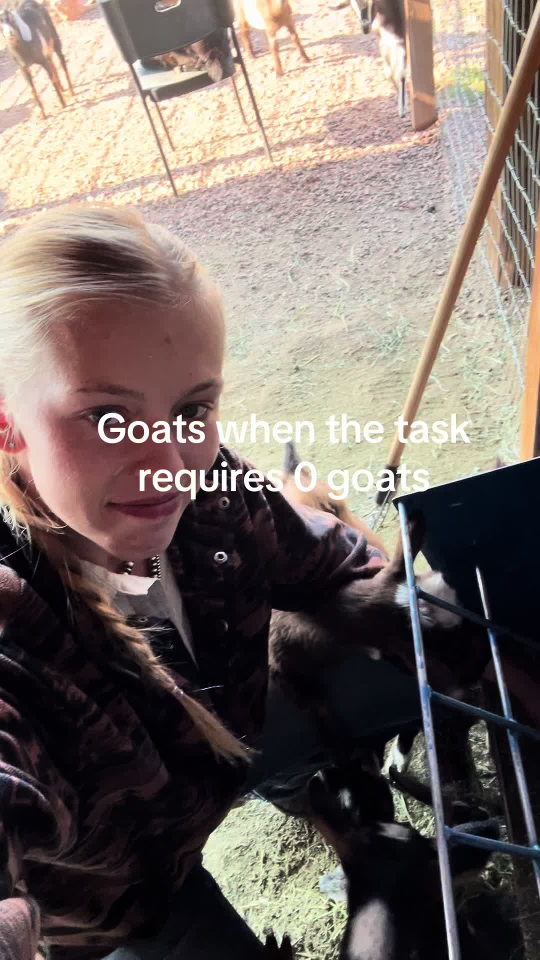 @ondrajean_