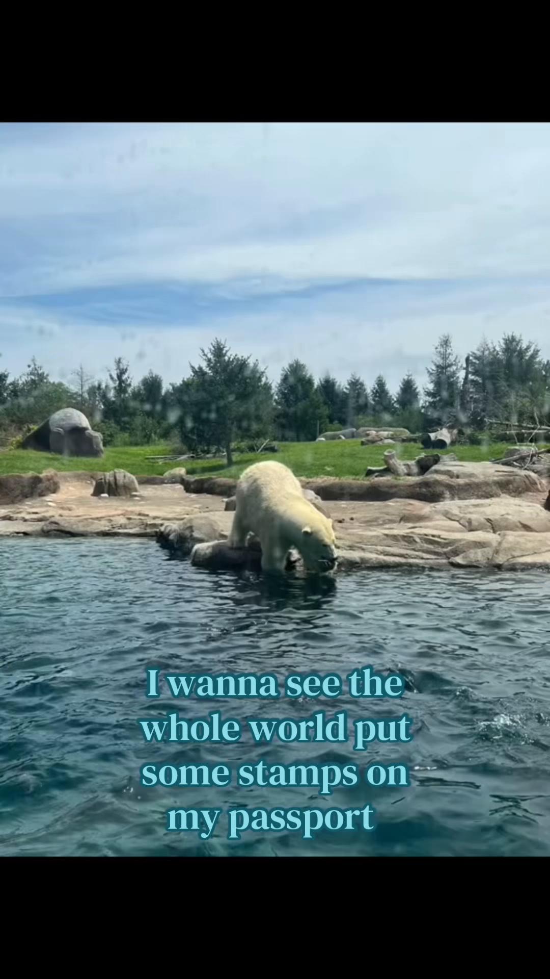 @🦦