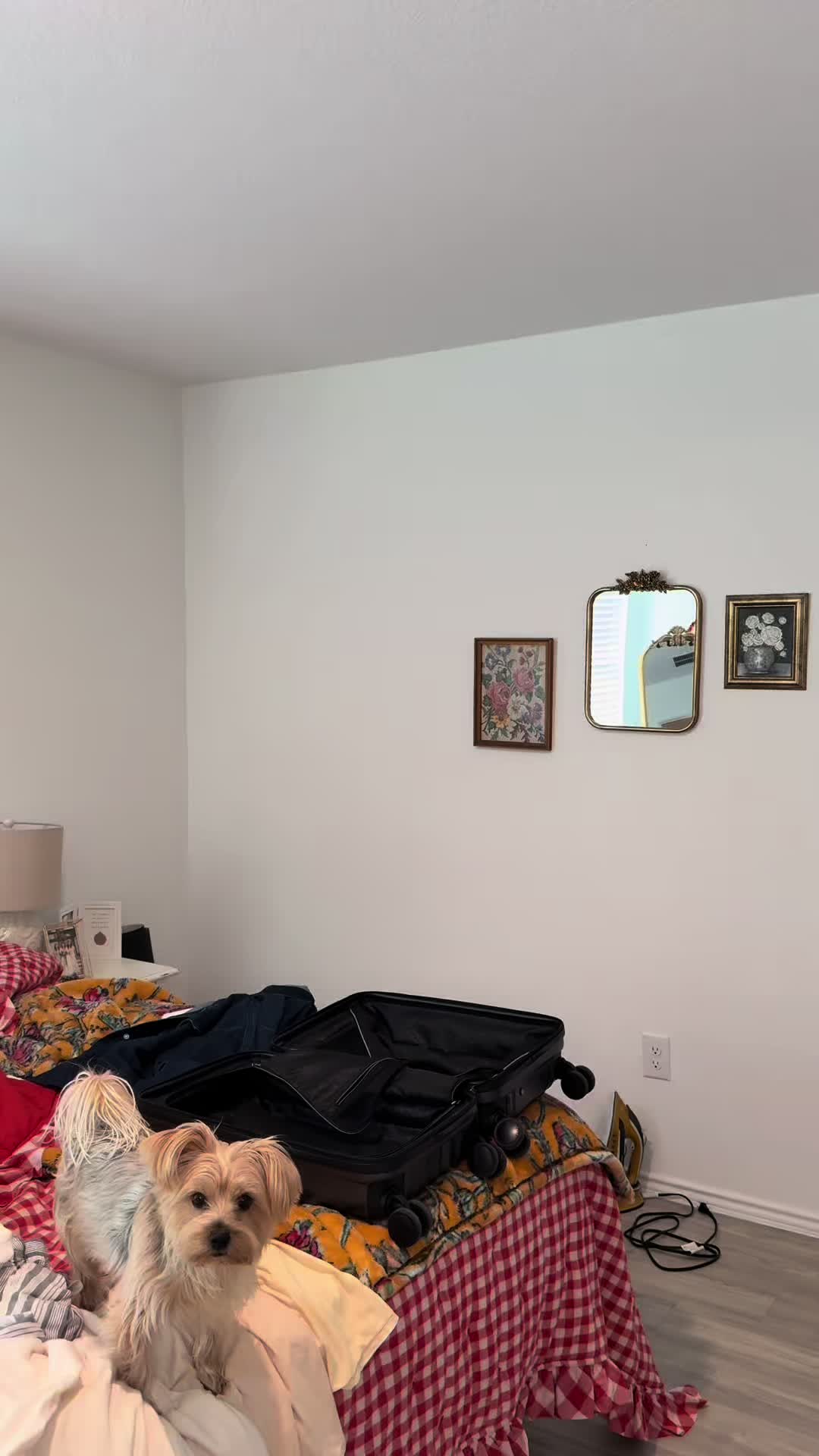 @Ana 🐝🌼🪩