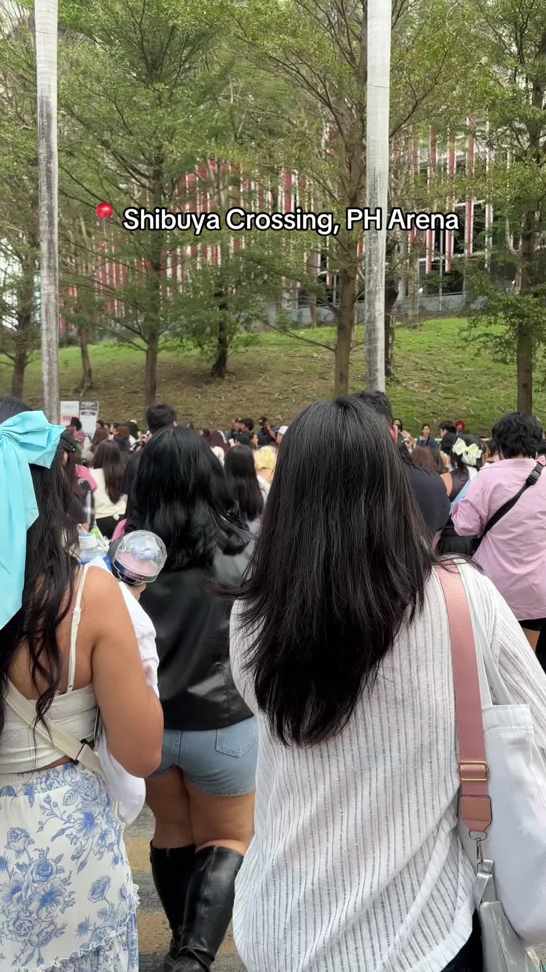 @mingyu’s gf ♡