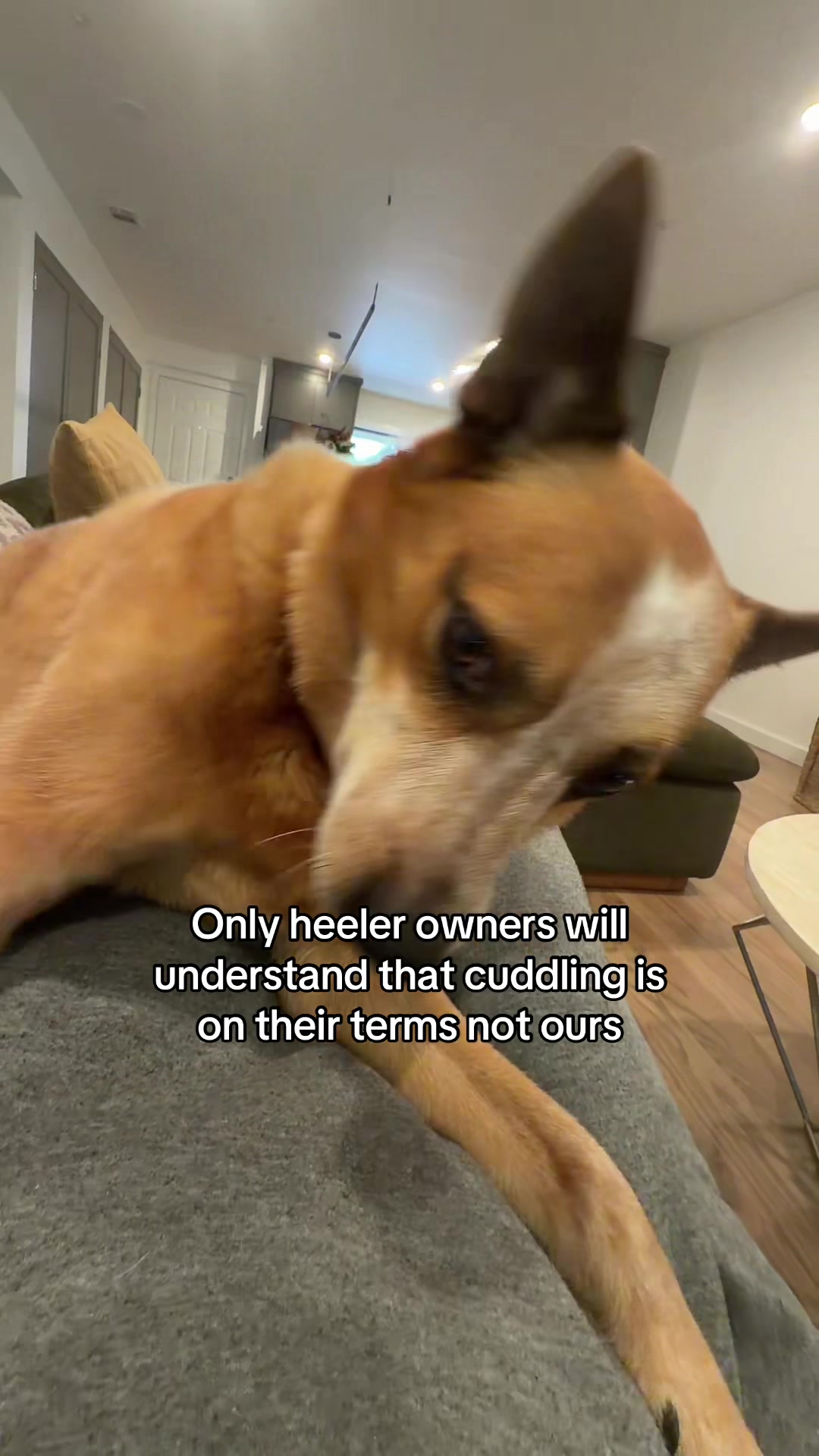 @Heather