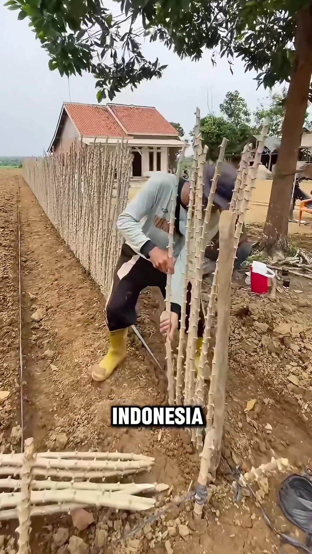 @militarybird