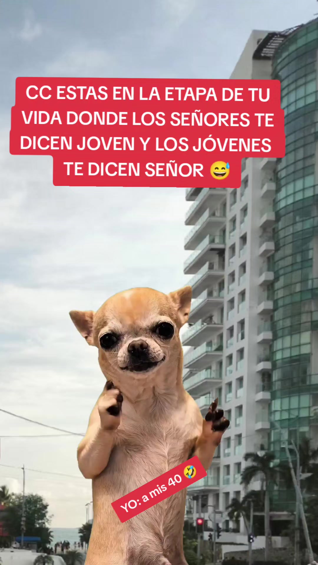 @Hugo