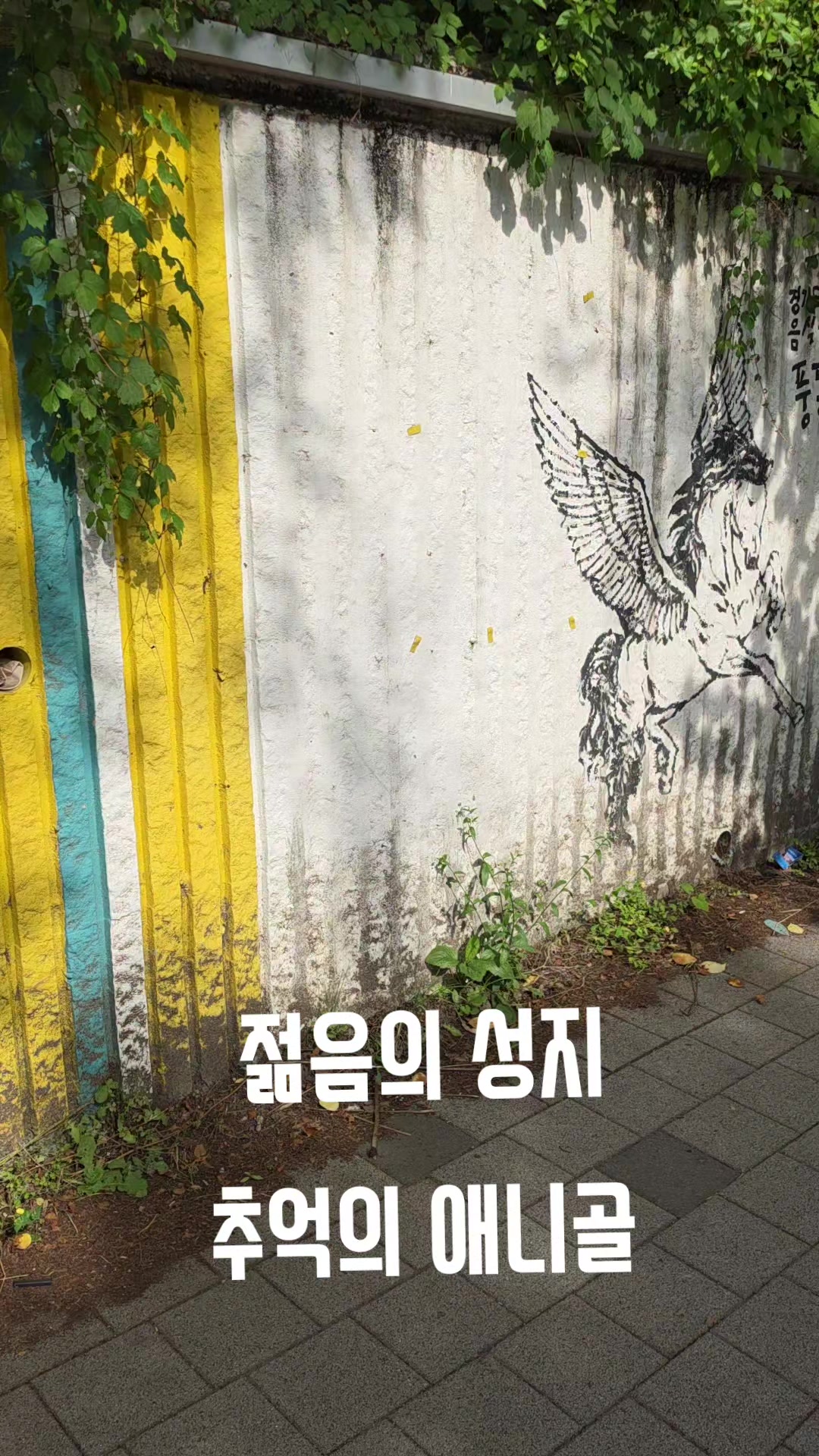 @김동욱802