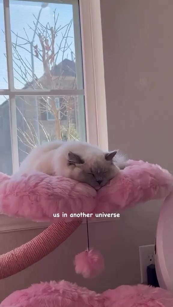 @KBSPETS