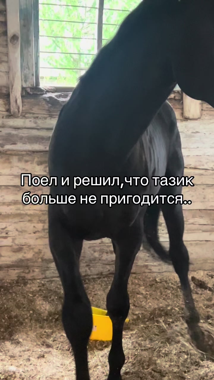 @Ли🐴