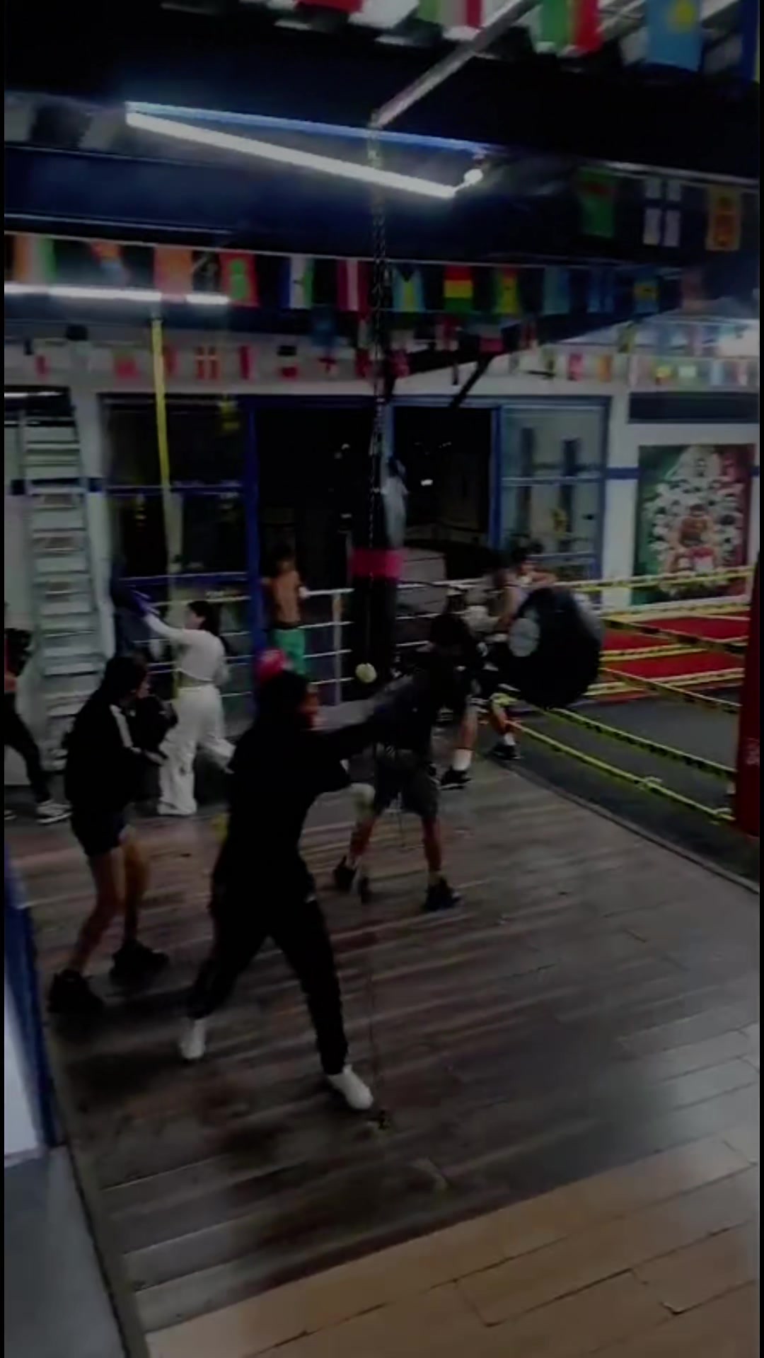 @netos boxing