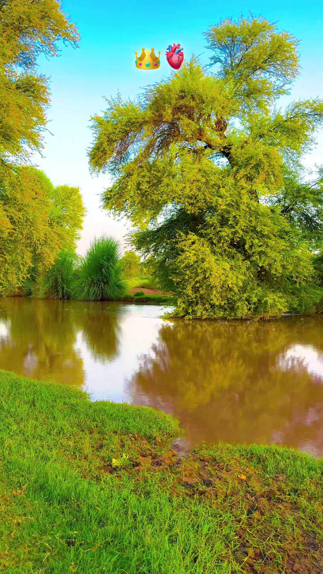 @پنجابی کلچر 🌾🍂