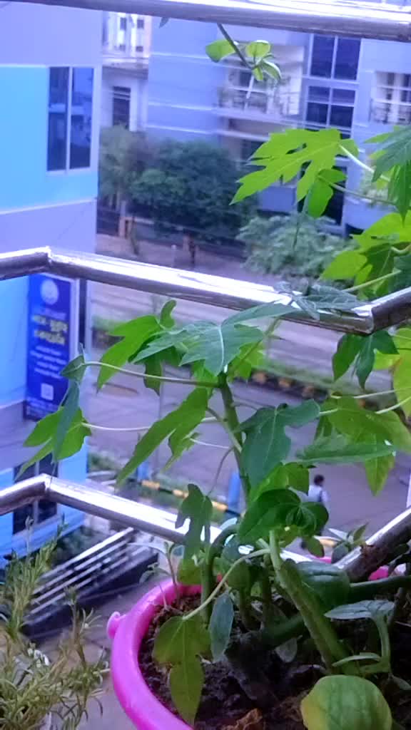 @❤️❤️ফারজানা ইতি❤️❤️