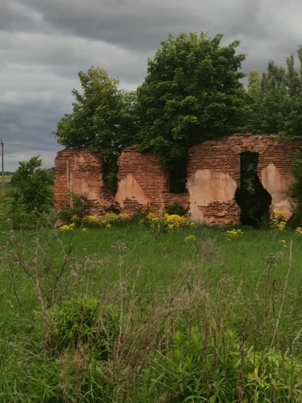 @tykovka