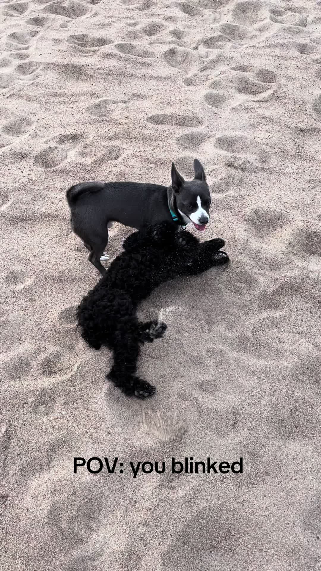 @cashandbentley_