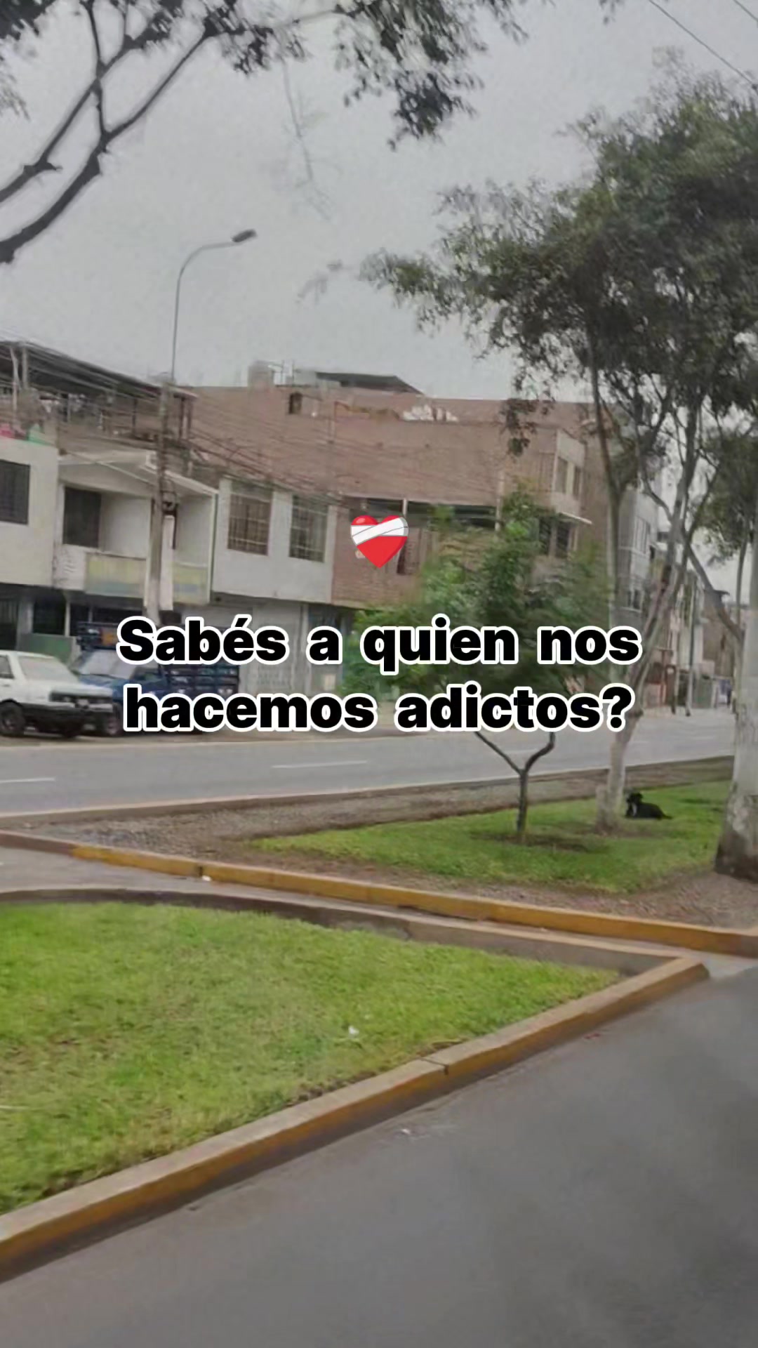 @gatita
