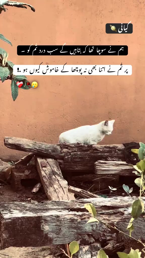 @🦋~♥~کہوٹہ آلی~♥~🦋