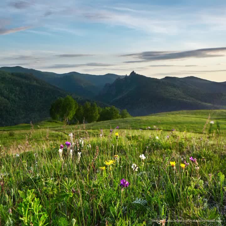@Александра Зайкова