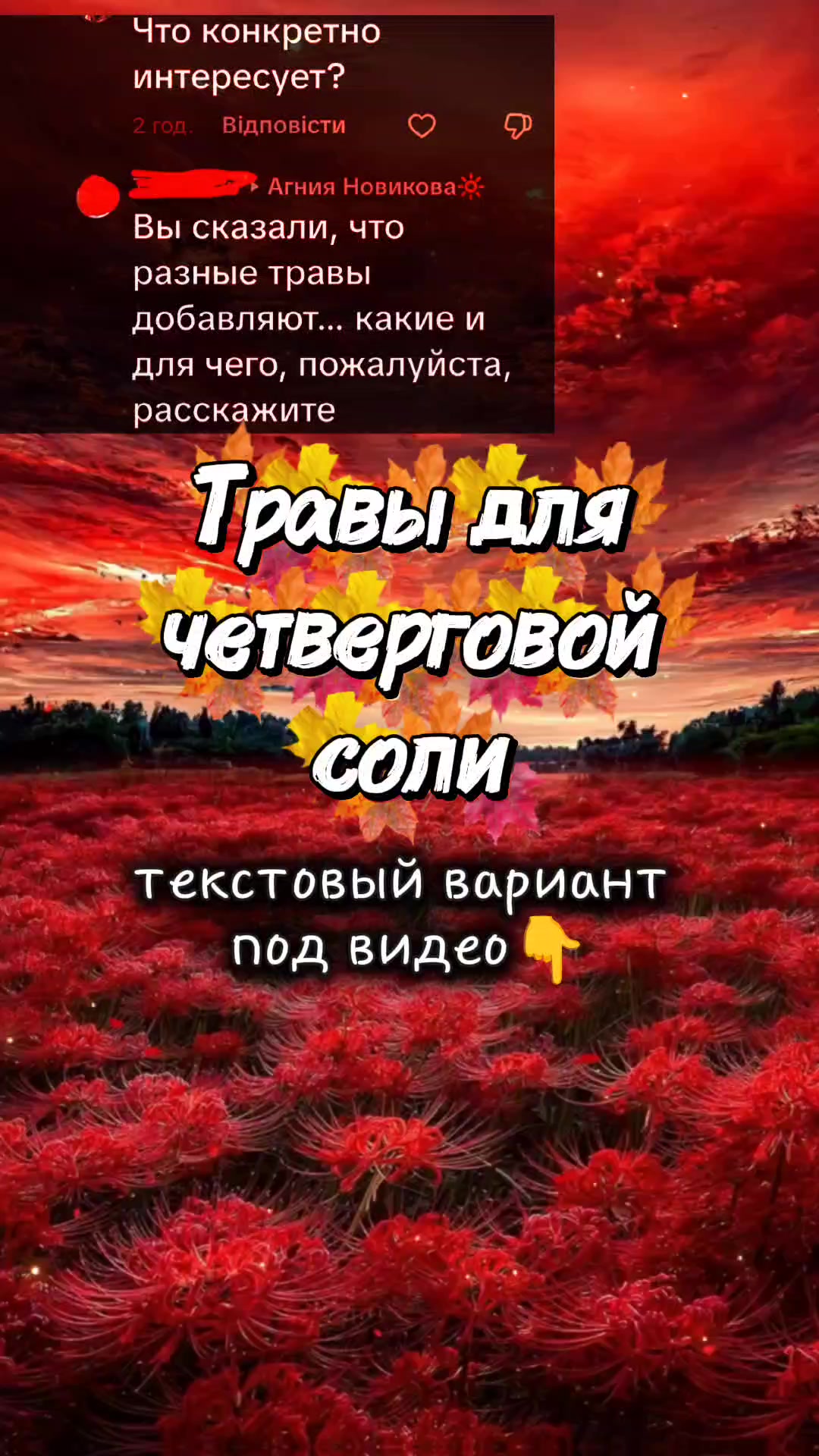 @Агния Новикова🔆