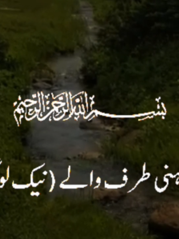 @❤️ALLAH Aalmin❤️