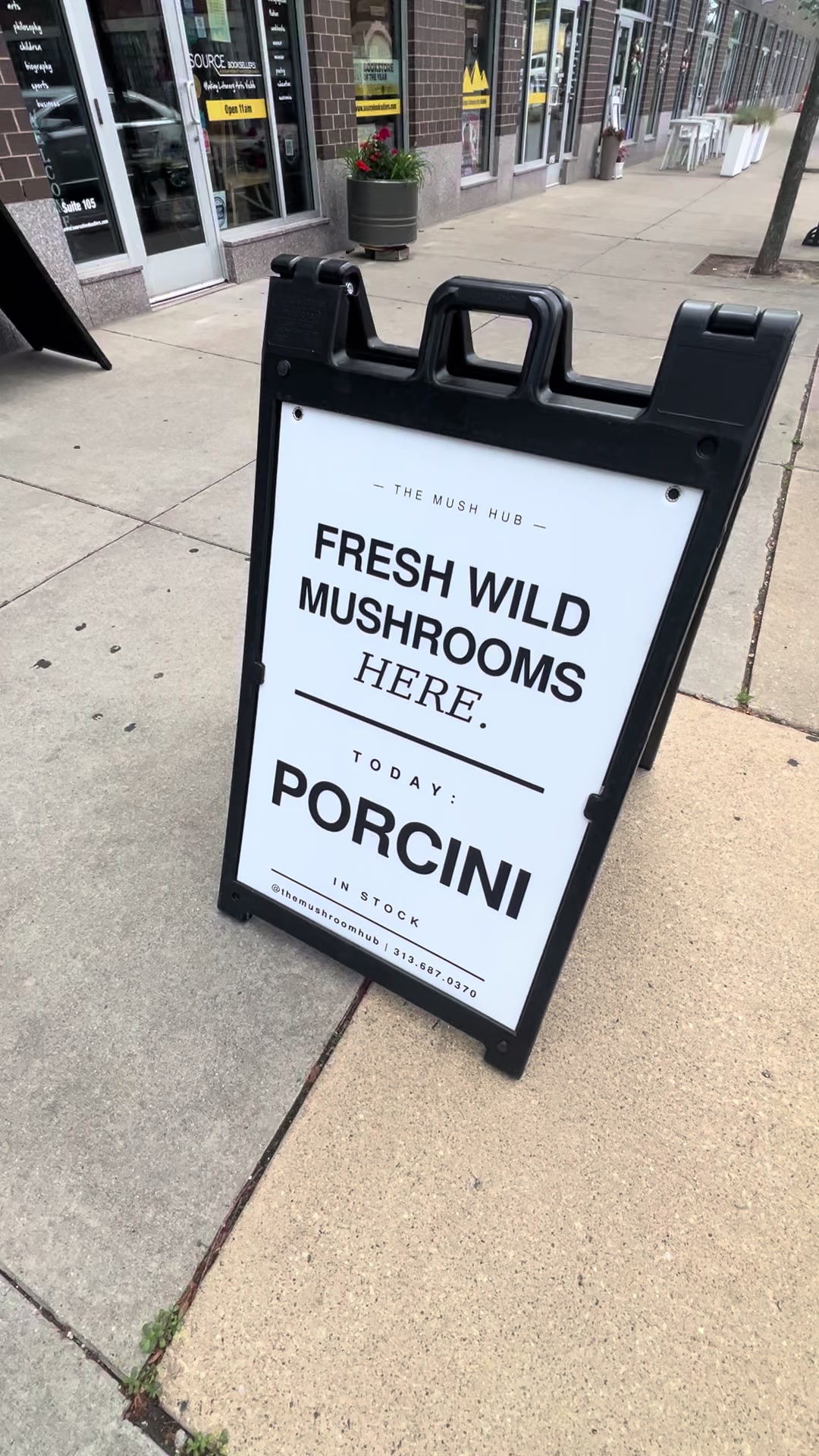 @The Mushroom Hub