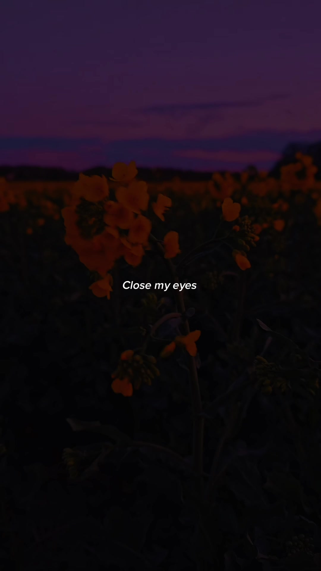 @Music Lyrics