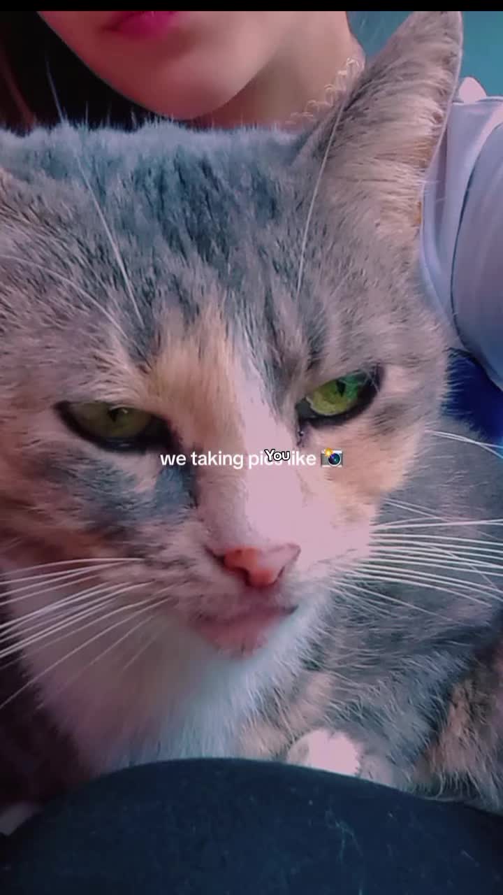 @Stitchlove21