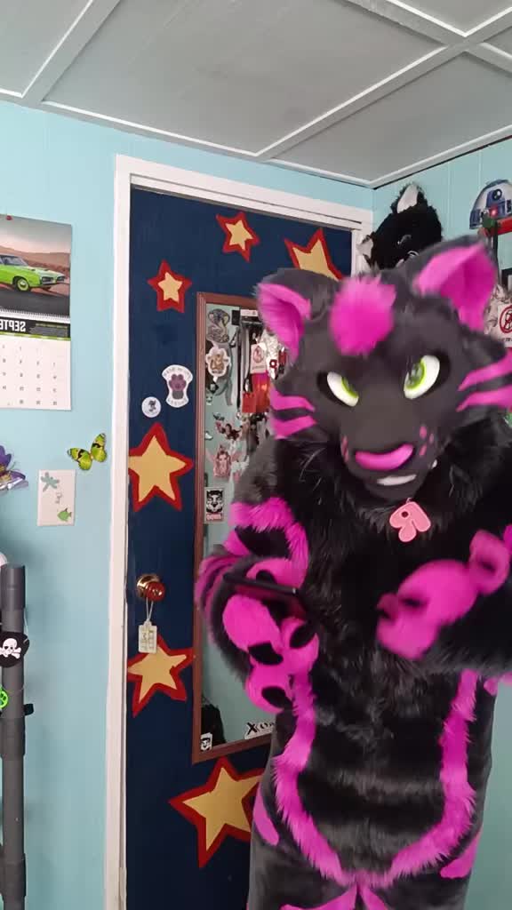 @dingbat 🐾 mew,mew 🐾