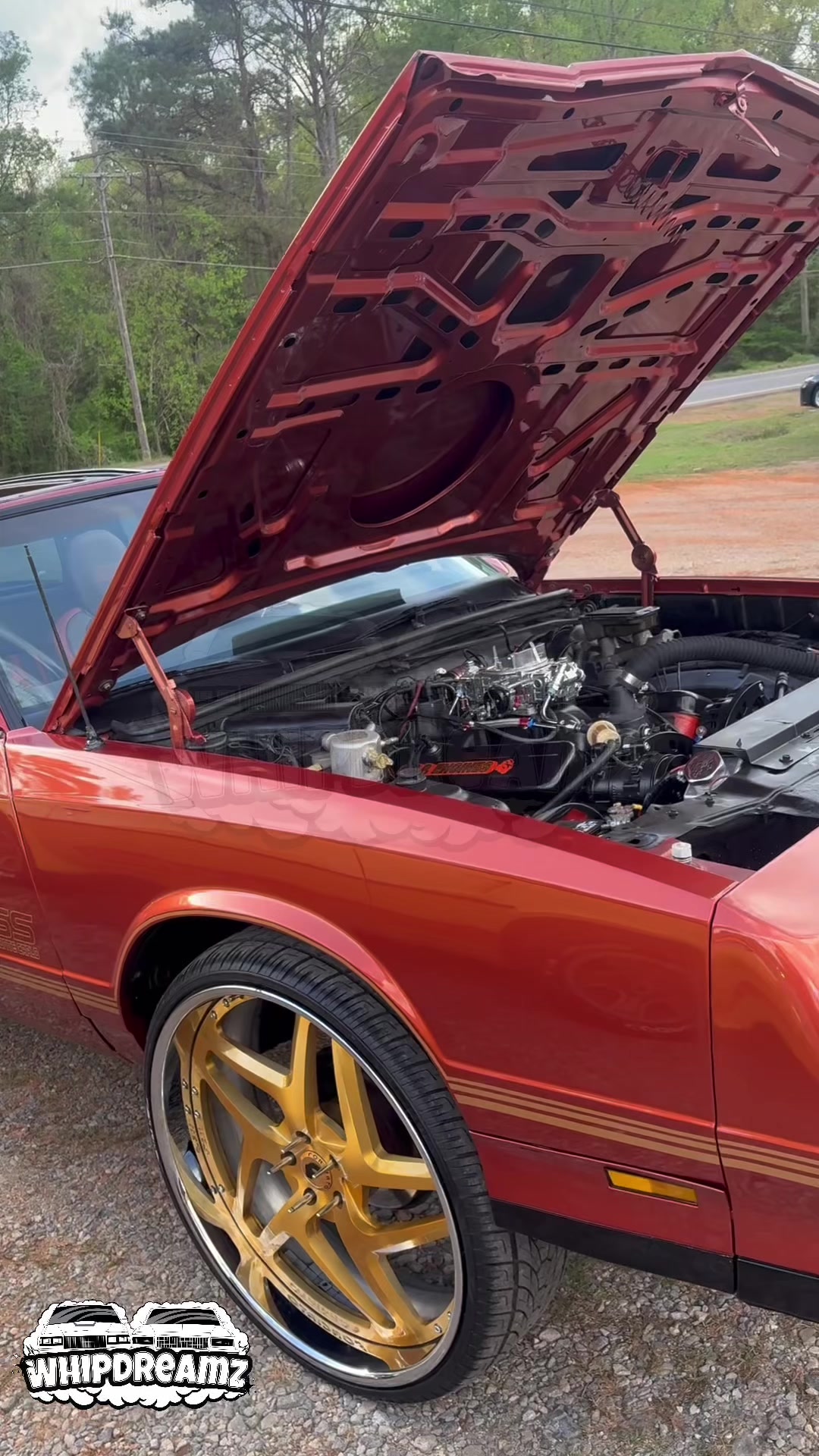 @WhipDreamz