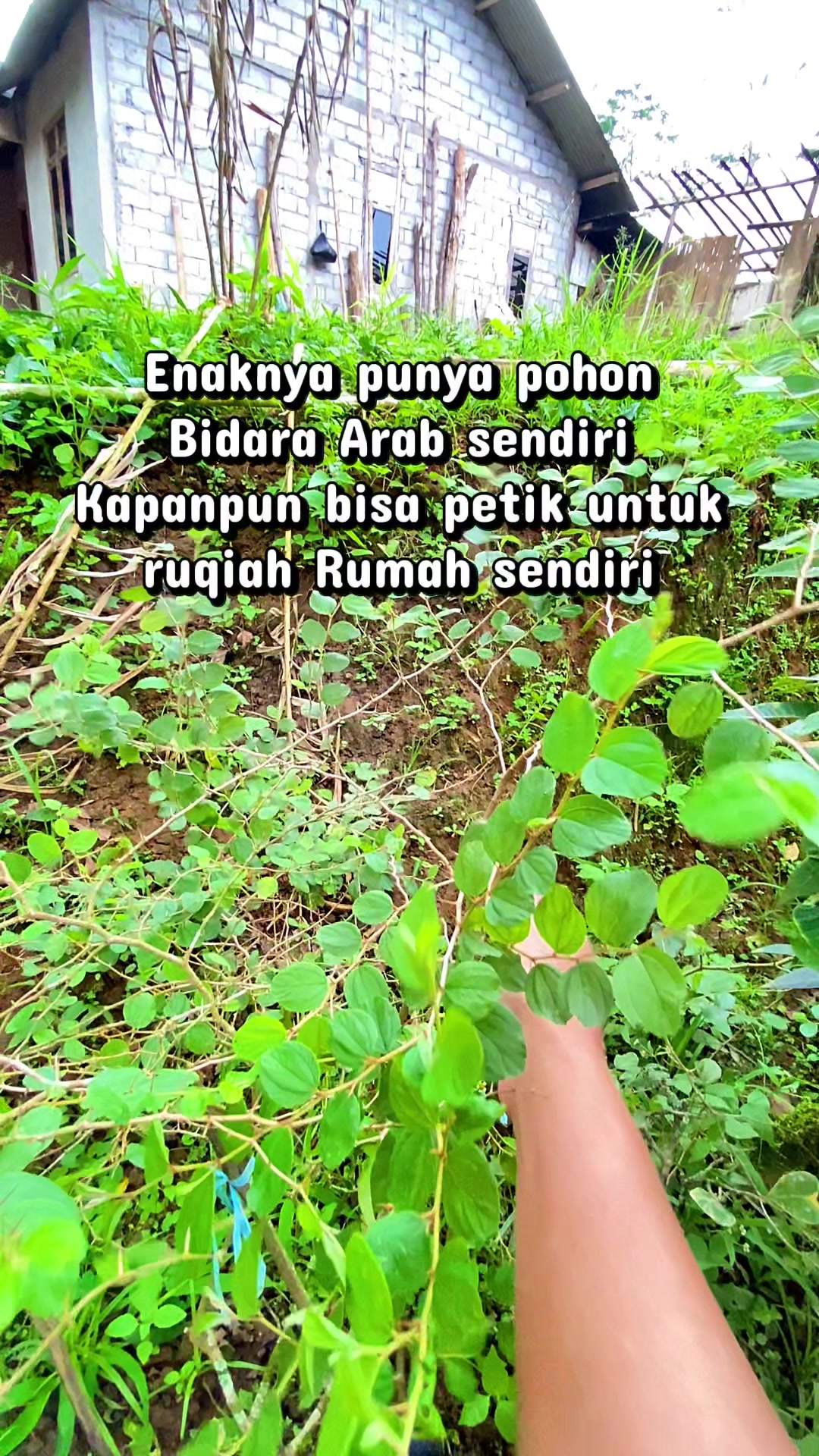 @Alvinna💦